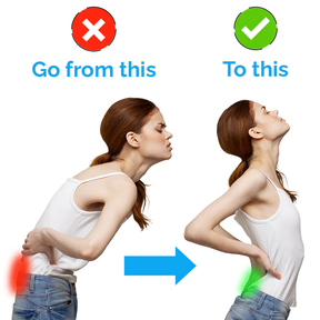 Support Belt